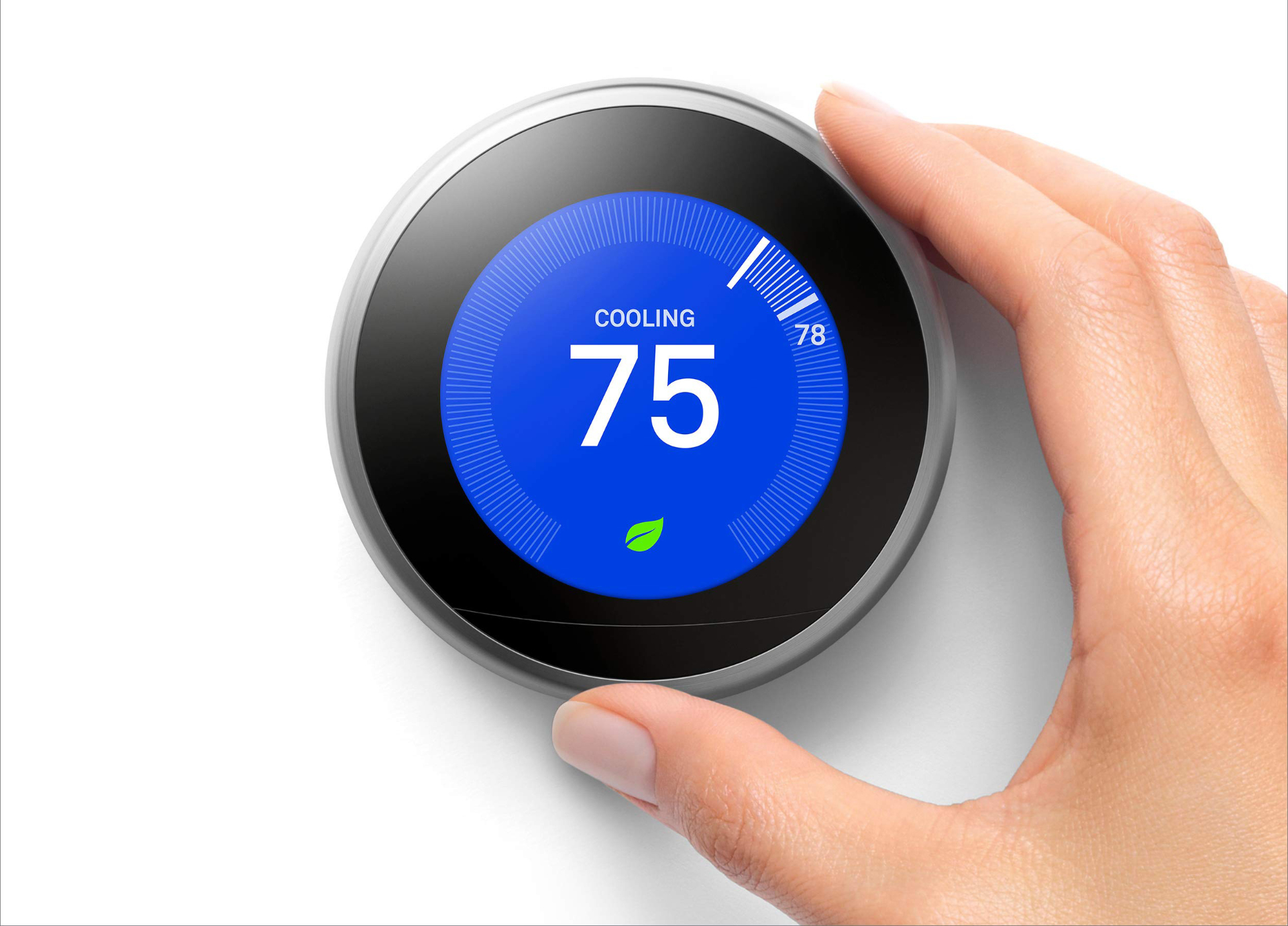 Nest Interactive & Programmatic